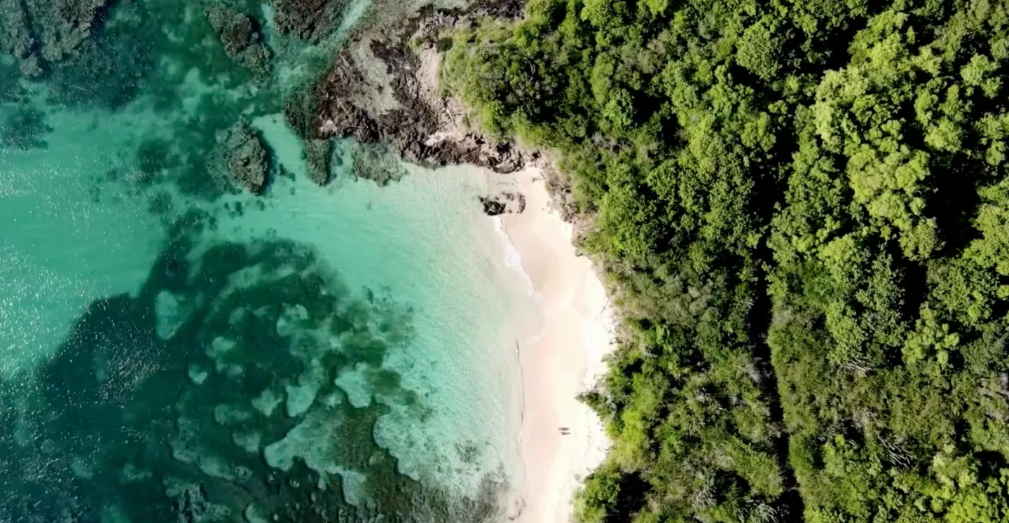 plage vue drone