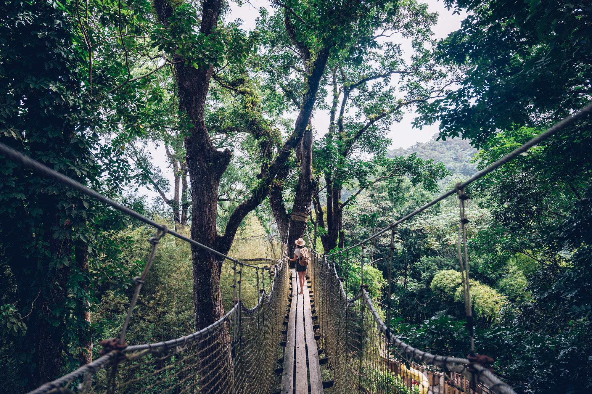 activite nature martinique