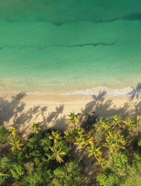 photo de la plage des salines en martinique vue aérienne