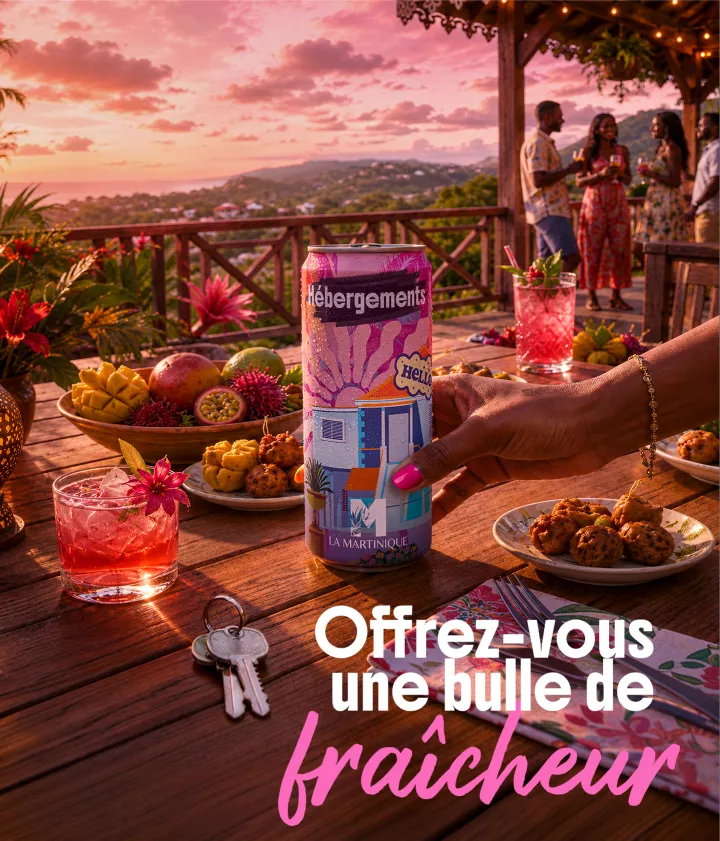 offre hébergements vacances Martinique