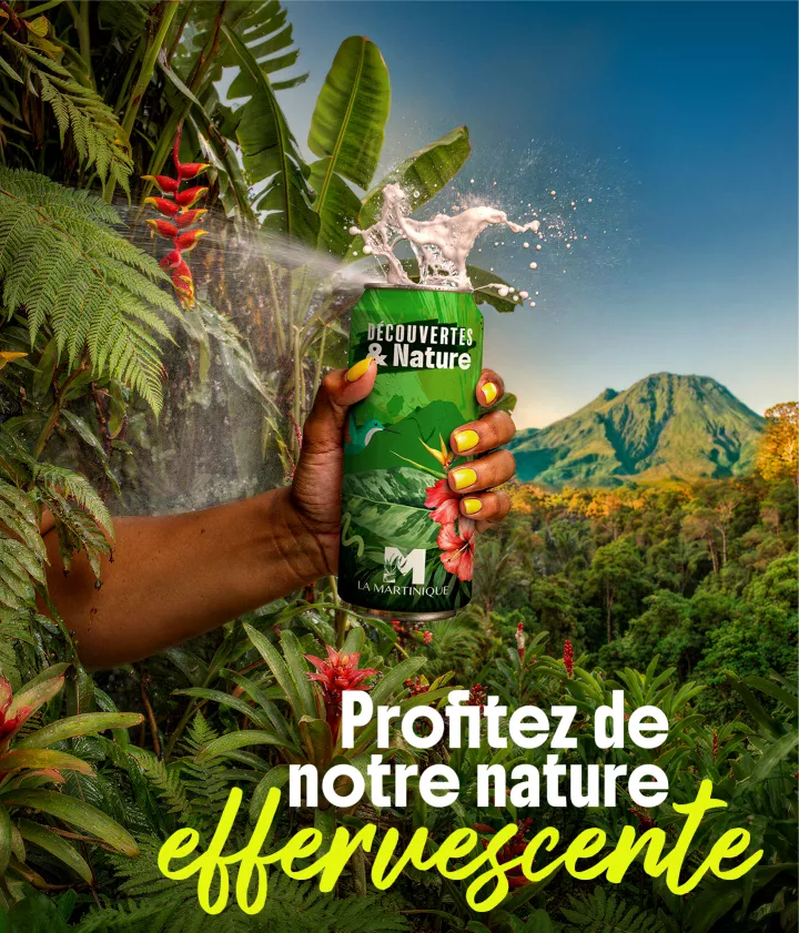 offre découverte nature vacances martinique
