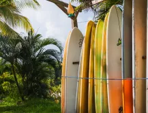 planche de surf