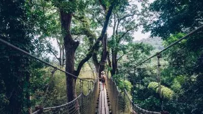 activite nature martinique