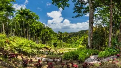 jardin balata