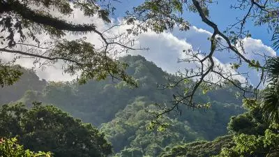 montagne pelee