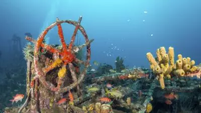 Credit Virginie Gilles-Lagrange Plongee Immersion Caraibes