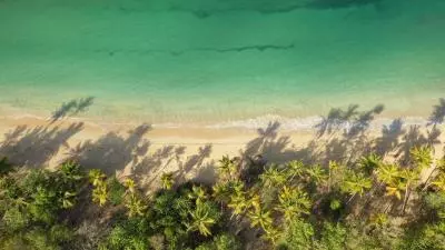 photo de la plage des salines en martinique vue aérienne