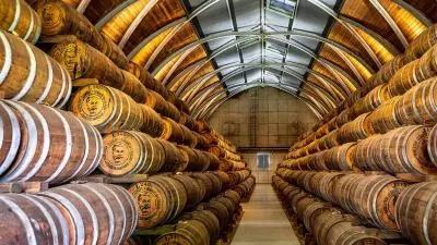 fut rhum Martinique