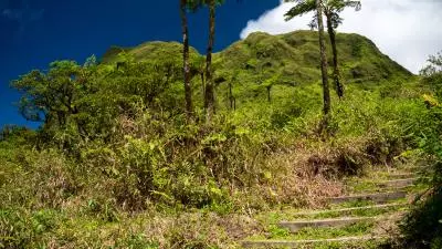 randonnée pitons du carbet