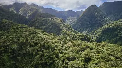 Montagne Pelée et son arc en ciel