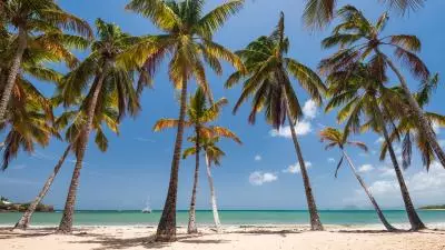 plage les salines