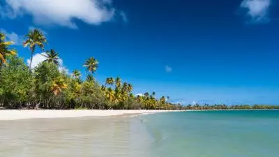 photo de la plage des salines en martinique