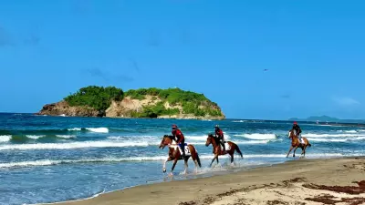 Chevaux qui galopent sur la plage de Sainte Marie