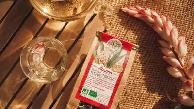 mise en scene tisane Atoumo Herboristerie