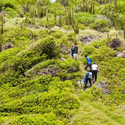 Randonnée Trace des Caps