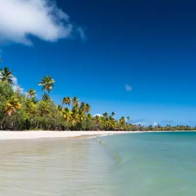 photo de la plage des salines en martinique