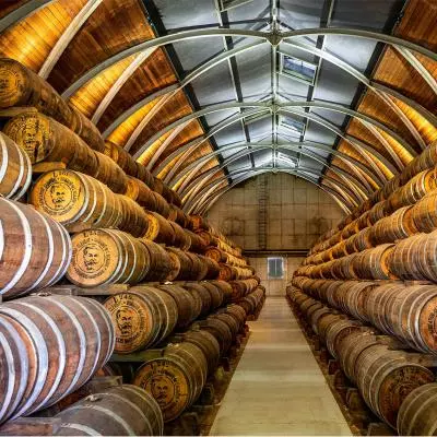 Cave de rhum
