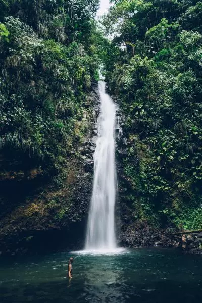 cascade tropicale