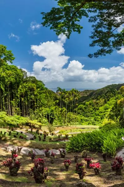 jardin balata