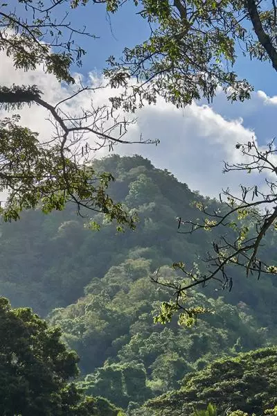 montagne pelee