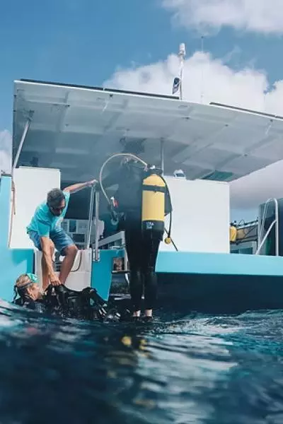 Canopee bleue plongee-sous-marine_Anses-d_A.jpeg