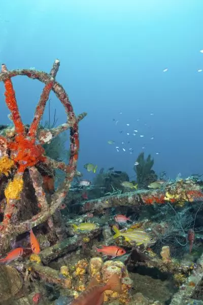 Credit Virginie Gilles-Lagrange Plongee Immersion Caraibes