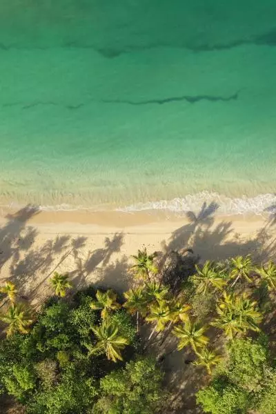 photo de la plage des salines en martinique vue aérienne