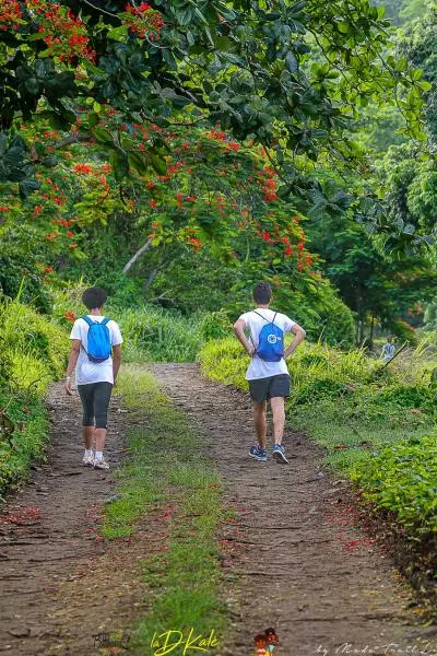 trail