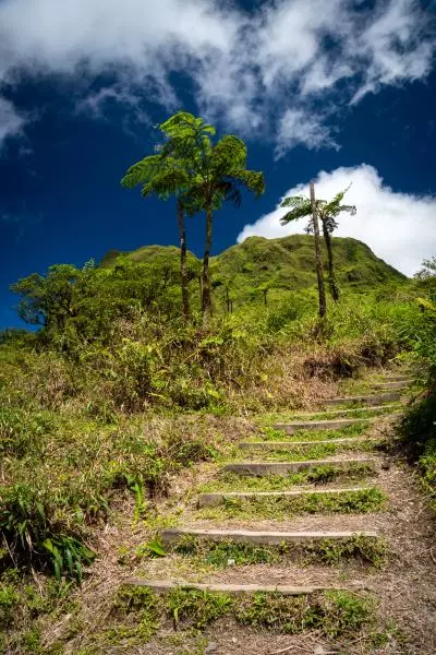randonnée pitons du carbet