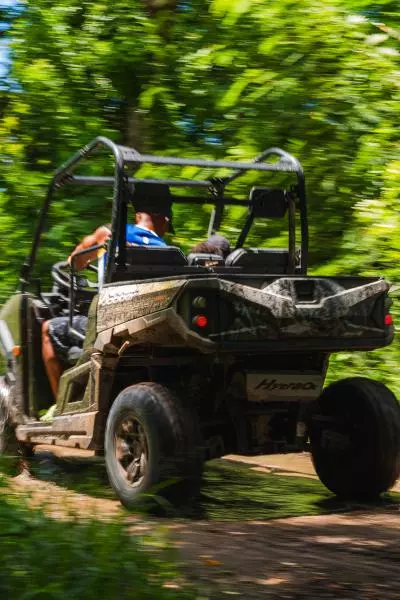 Buggy