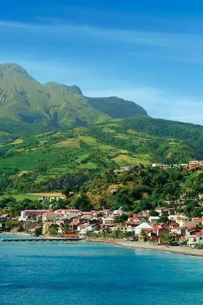 Volcanoes and forest of Mount Pelée  now on UNESCO's list of World Heritage