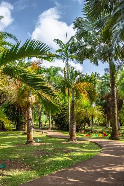 Jardin habitation clément