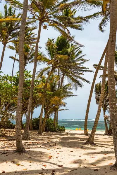 photo plage de l'anse michel