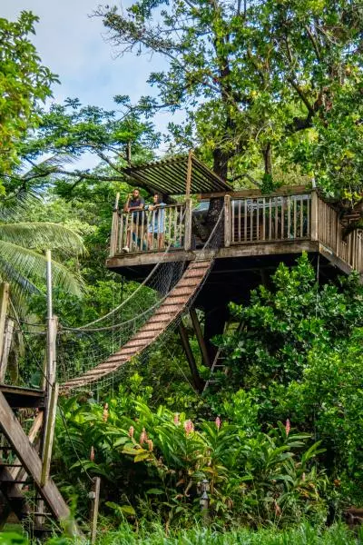 cabane arbre martinique