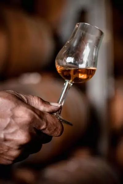 verre dégustation rhum 