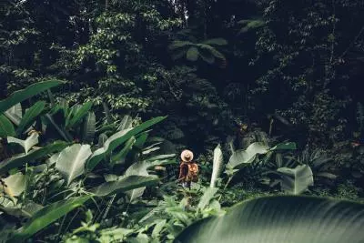 randonnee nature