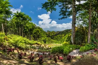 jardin balata
