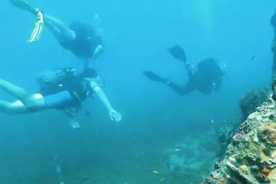 Photo corail club caraibes