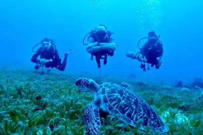 Photo o fil de l'eau