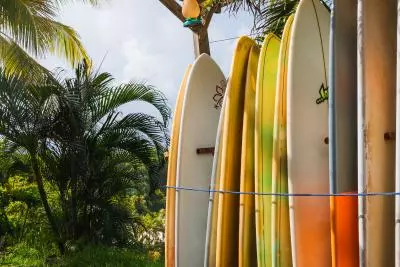 planche de surf