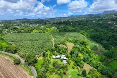 Vue aérienne Gros-Morne