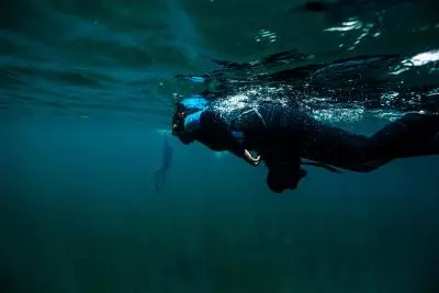plongee snorkelling martinique