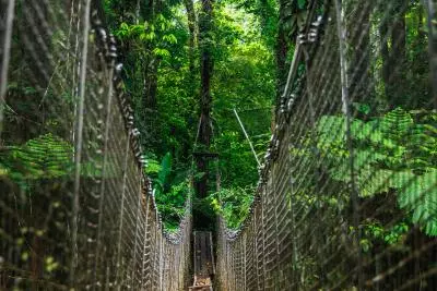 Coeur Bouliki, Saint-Joseph