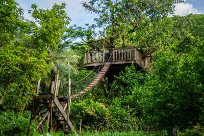 cabane arbre martinique