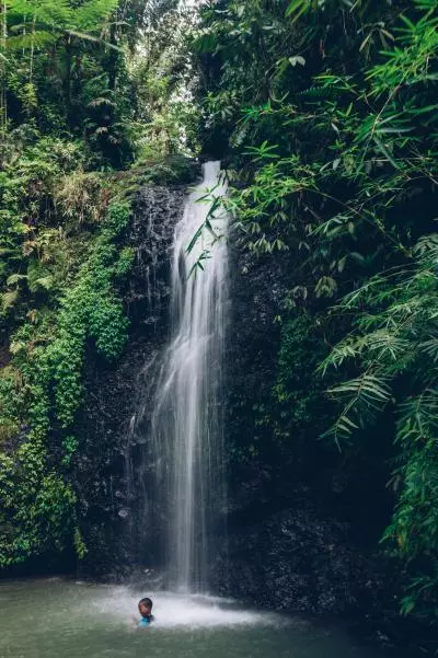 Cascade martinique