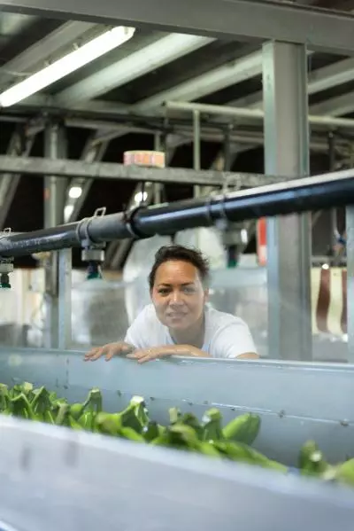 Kdl-Equipe10.Kadalys