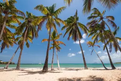 plage les salines