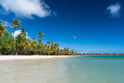 photo de la plage des salines en martinique