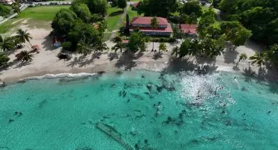 anse figuier à riviere pilote