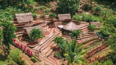 savane des esclaves vue drone 